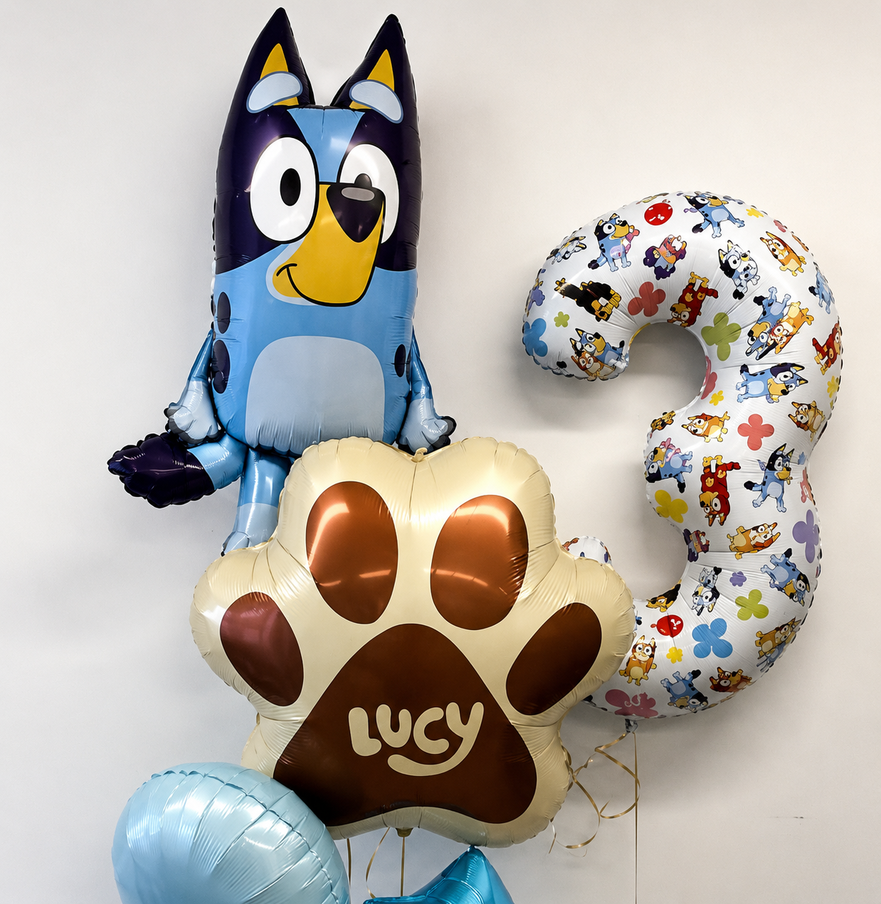 Bluey Balloon Bunch Package