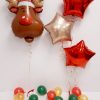 reindeer balloon package
